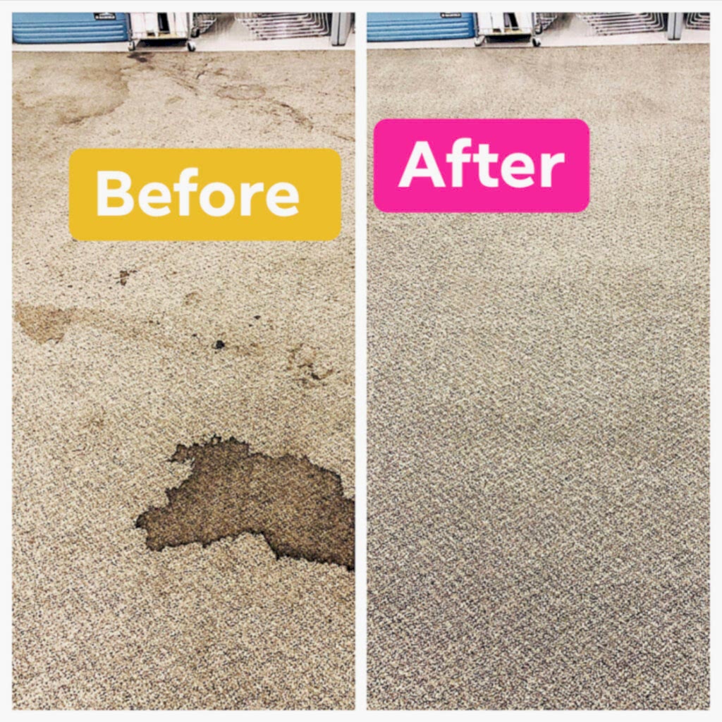 Before And After Carpet Cleaning San Antonio