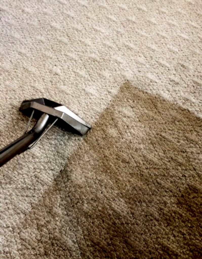 Carpet Cleaning San Antonio