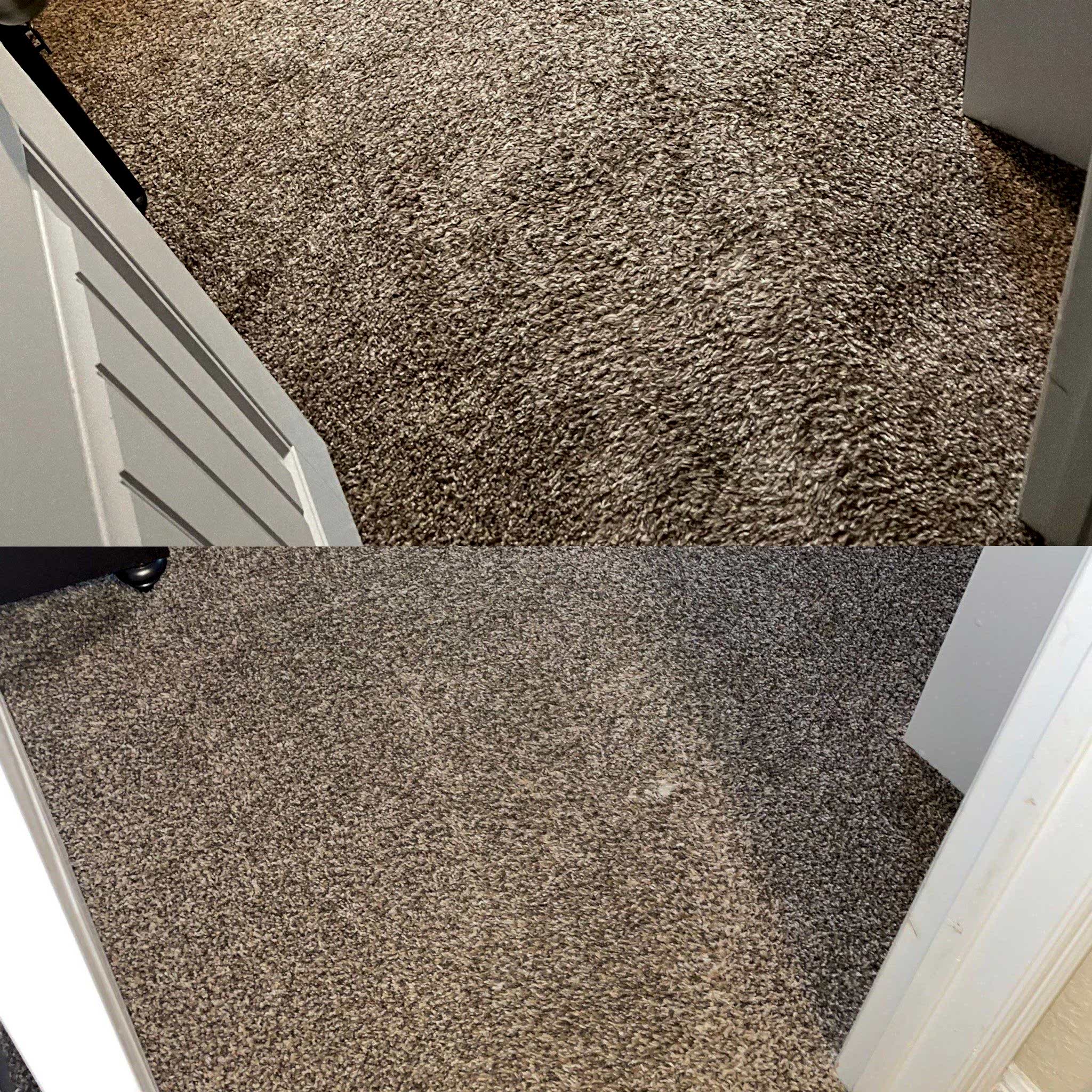 Area Rug Steam Cleaning Project in San Antonio TX 78253