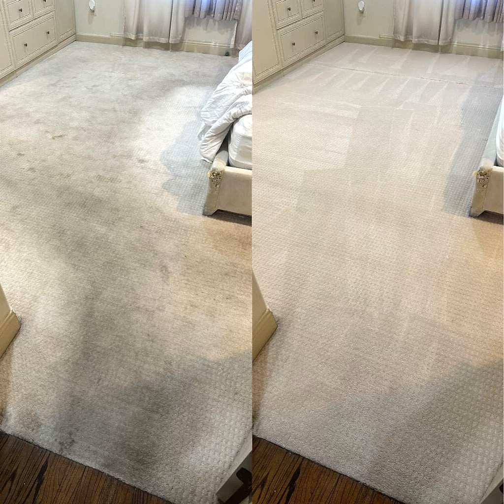 carpet cleaning services
