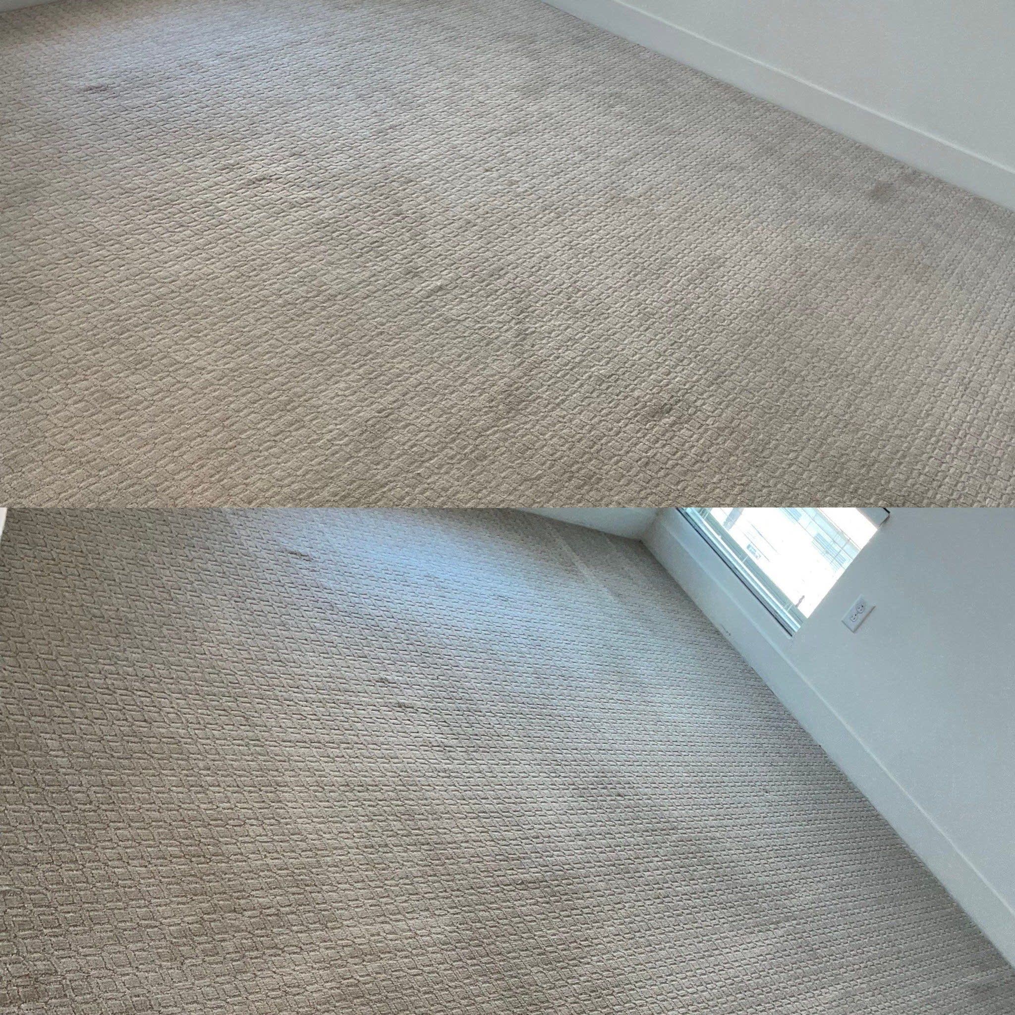 Area Rug Steam Cleaning Project in San Antonio TX 78218