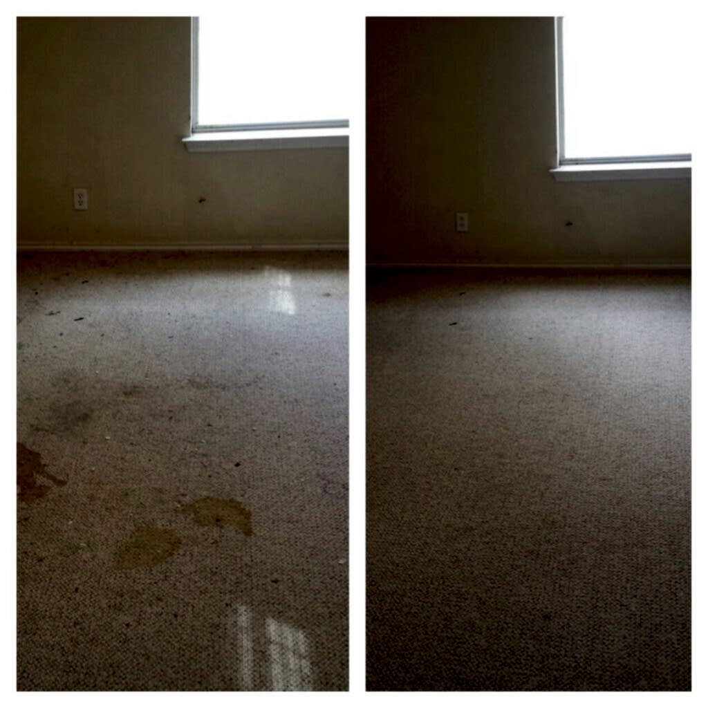 pet stain odor removal san antonio