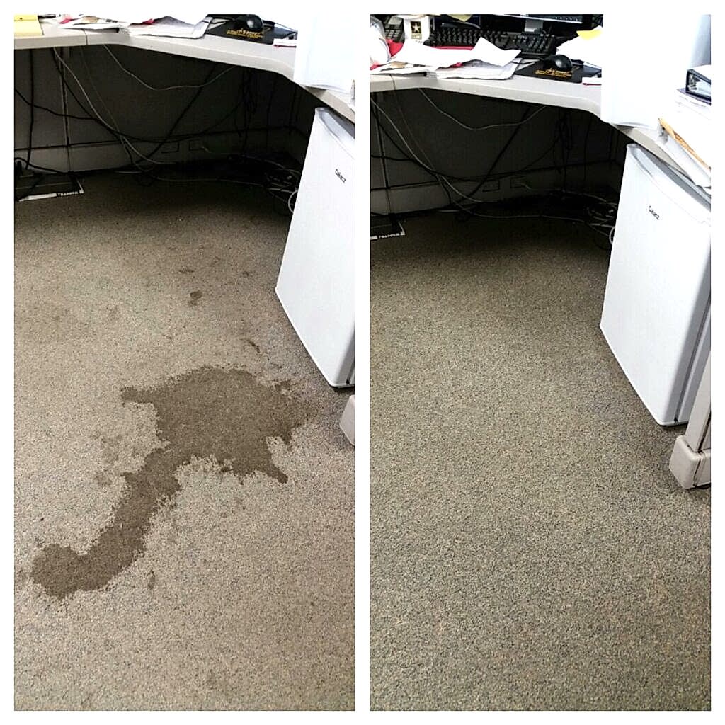 pet stain removal services san antonio prices