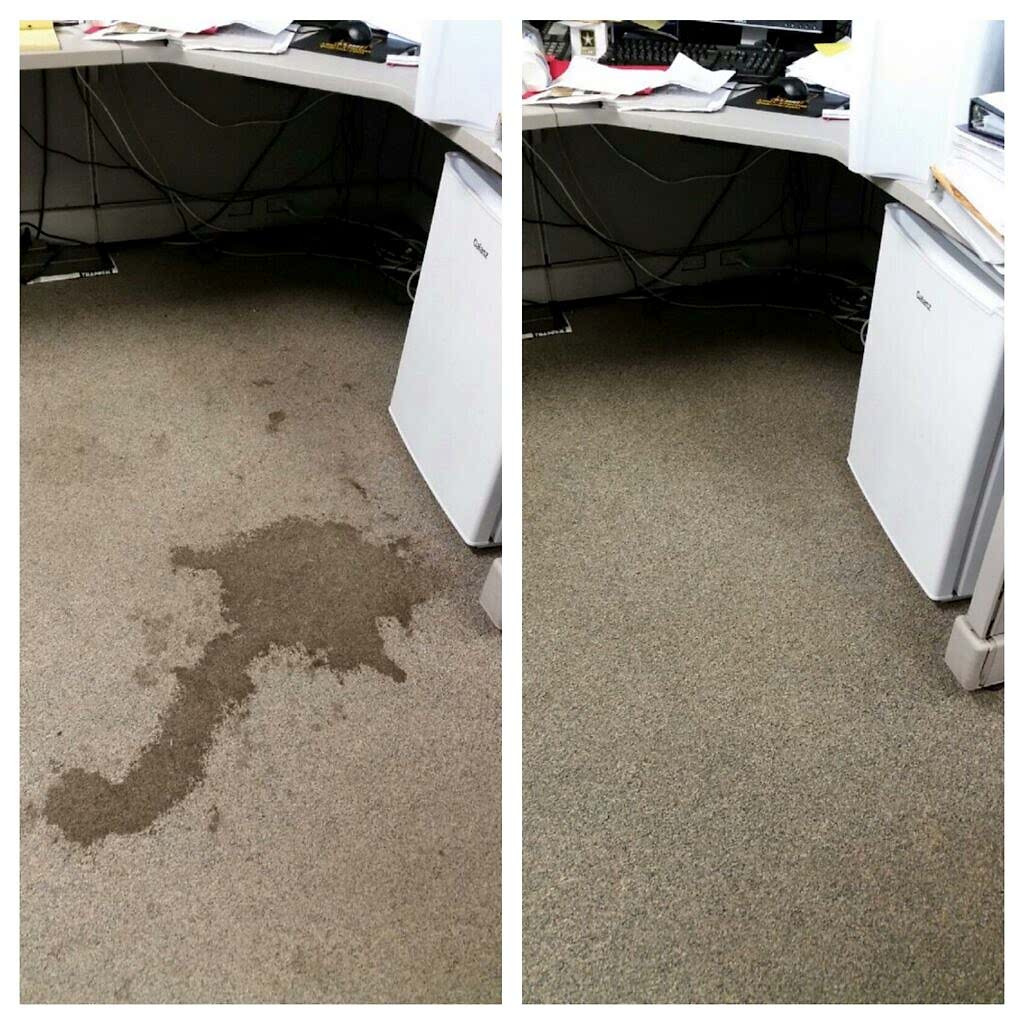 pet treatment carpet cleaning