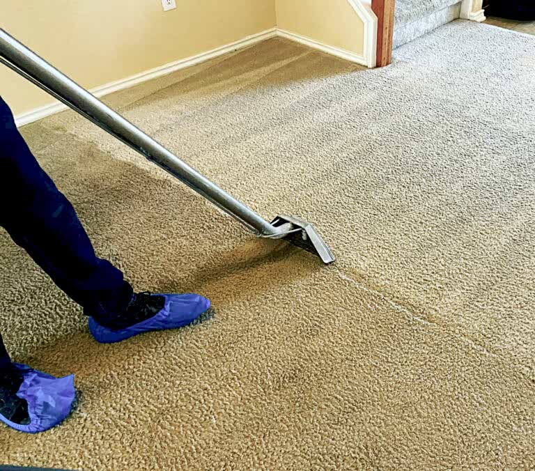 rug cleaning san antonio tx
