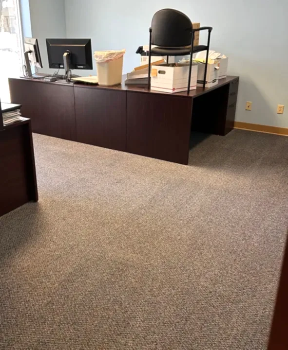 Exceptional Carpet Cleaning Service Project in San Antonio TX 78216