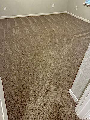 Carpet Cleaning With Pet Treatment And Sanitation in San Antonio  TX