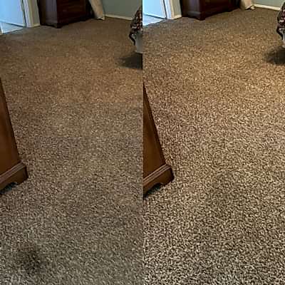 Pet Treatment And Carpet Restoration in San Antonio TX